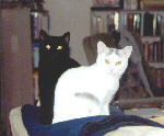 Moria and Misty