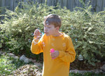 Bubble Master