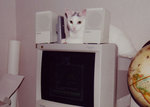 New Computer Accessory