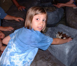 Starfish Petting