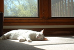 Basking, Defined