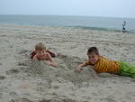 The Burrowers